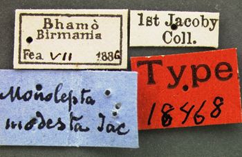 Media type: image; Entomology 18468   Aspect: labels